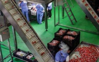 农村做什么生意能赚钱,开办农产品加工厂一般具有可观利润