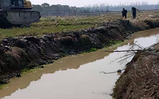 蚕豆的浇水频率，炎热夏季需增加浇水频率