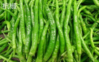 杭椒与线椒有什么区别,外观、口感、食用方法均不同
