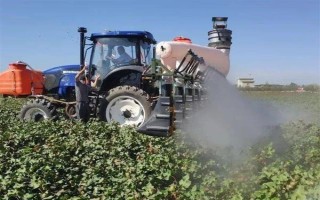 毒死蜱能杀死蚧壳虫吗，效果不是非常好