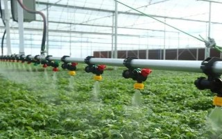 水肥一体化的技术要领，固态肥料要与水混拌成液肥