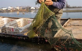 养殖10亩小龙虾的成本，大概需要13万元左右