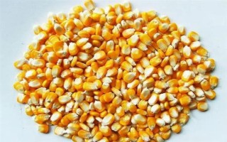 夏玉米补种注意事项，所选品种的生长期需短于原种