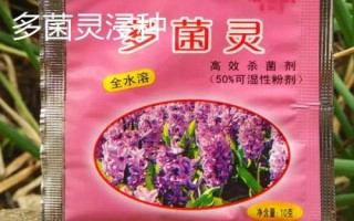 十个蔬菜药剂浸种方法，浸泡时间多为半小时