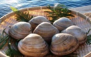 花甲的品种,常见的有花蛤、毛蛤、文蛤等