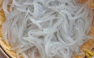 丹江口市银鱼的产地，产地主要在湖北十堰丹江口市