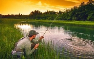 初夏如何钓鱼，水草区是钓鱼最理想的钓位