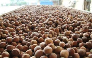 辽宁辽阳市有什么特色水果，有灯塔葡萄、前杜草莓等