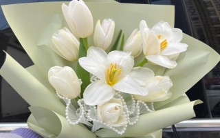 郁金香有什么花语，代表爱的宣言、高贵的爱、珍贵友谊