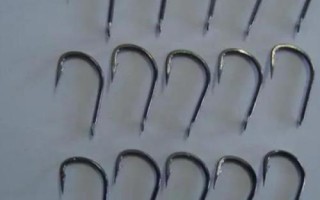 如何野钓鲫鱼，洄湾处更适合作钓