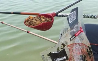 酒米打窝要提前多长时间，春秋季节可提前半小时