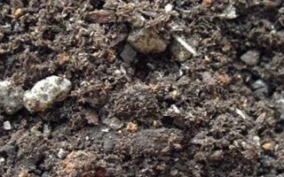 如何快速自制多肉土，可以选用泥炭土、珍珠岩、蛭石等混合配制