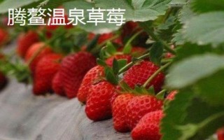 辽宁省鞍山市水果特产,别称钢都、玉都