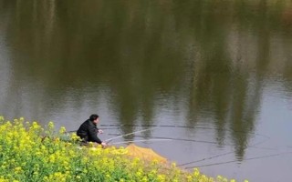 台钓鲫鱼子线要多长，根据鱼情、季节、钓法等决定