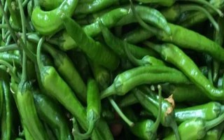草木灰贮藏青椒的方法，效果好、保鲜80天以上