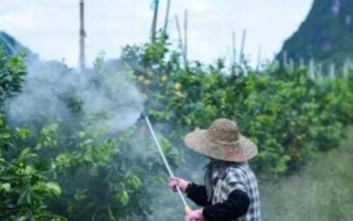 混用除草剂的原则,混合后药物的化学性质不能出现变化