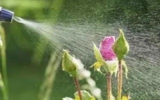 1克吡虫啉兑多少斤水，25%吡虫啉1g一般可兑水3000ml