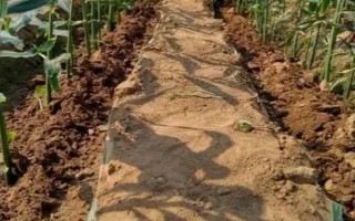 基肥是什么肥料，指的是在作物播种前所施用的肥料