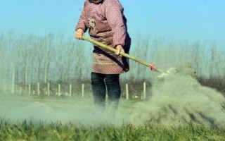 草木灰可以当作肥料使用吗，属于良好的有机肥