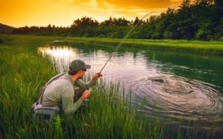 夏季钓鲤鱼的技巧，夏钓鲤鱼以钓钝为主