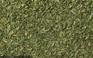茴香的收获时间,5-6月份和9-10月份均可收获