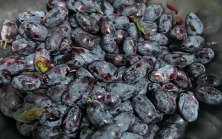 蓝靛果可以放几天，常温条件下可以保存2-3天