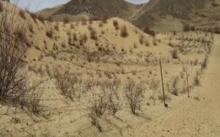 土地沙漠化如何防治，可防风固沙、植物治理等
