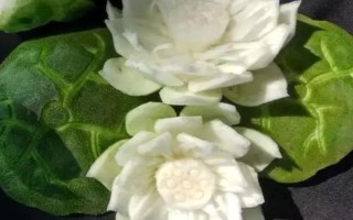 常见的蜜饯种类，有京式蜜饯、杭式蜜饯等