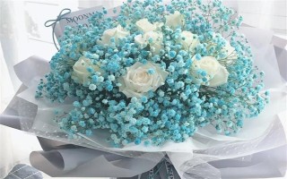 满天星的花语，寓意思念之情、纯洁的爱等