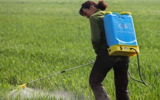 盖草能怎么使用，在杂草4叶期左右用药兑水喷雾