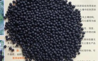 荷兰豆怎么施肥才能高产,施入充足的基肥是关键