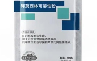 犬猫上呼吸道感染怎么治疗和护理，根据引发原因采取不同的解决措施