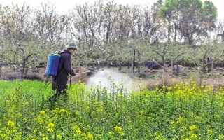 烯禾啶怎么使用，兑水后进行喷雾