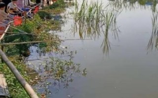 钓龙虾的适宜时间，5月份早上8-9点、下午3-4点适合作钓