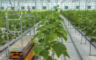 未来十年哪些职业较紧缺，资深金融分析师、律师、职业规划师等职业会比较紧缺