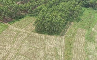 旱地怎么抗旱，可采取节水灌溉、覆盖秸秆、沟垄耕作等措施