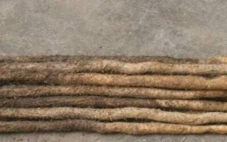 竹篙薯的产地，全国仅江西泰和栽种