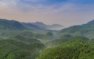 南方地区的自然特征与农业，种植业以水稻为主
