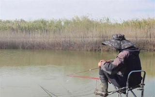 2.0号子线可以钓多重的鱼，确保质量能应付10斤以内的鱼类