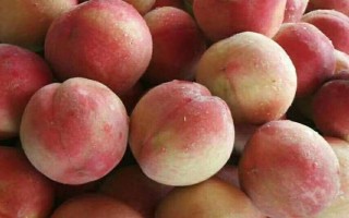 水蜜桃成熟所需时间，开花后需要3-4个月才能结果成熟