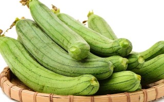 优质丝瓜品种介绍，推荐早优一号、新早冠406等