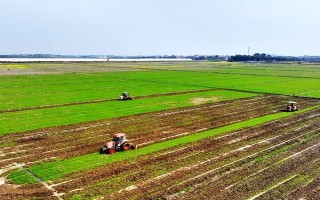 新农机动力不足的原因，是为了抑制新车的动力