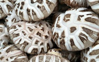 花菇小的好还是大的好，小花菇比大花菇好