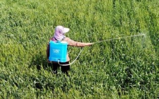 灭多威有什么作用，主要用来防治棉铃虫