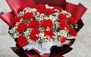 红色康乃馨适合送什么人，适合赠送给母亲或师长