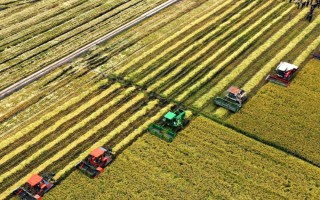 我国目前农业生产的主要经营方式，是家庭联产承包责任制