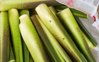 茭白冬天能种植吗，冬天是可以种植的
