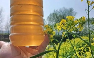 油菜蜜的价格，各地区的售价差异较大