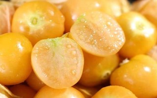 农村种植什么市场潜力大,这几个项目很有钱途