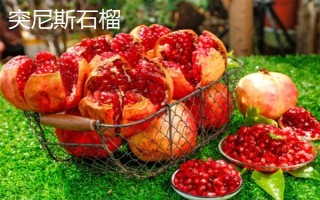 农村种什么东西有高收益,车厘子、香椿、藜麦等作物值得考虑